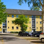 Miete 2 Schlafzimmer wohnung von 50 m² in Gelsenkirchen