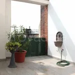 Rent 1 bedroom apartment of 45 m² in Milano