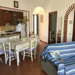 Rent 3 bedroom apartment of 80 m² in Anzio