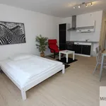 Rent 1 bedroom apartment of 28 m² in Nuremberg