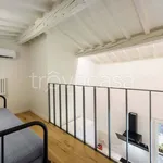 Rent 3 bedroom apartment of 100 m² in Firenze