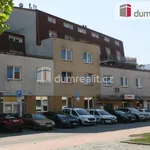 Rent 1 bedroom apartment of 40 m² in Zlín