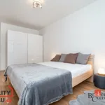 Rent 3 bedroom apartment in Praha 8