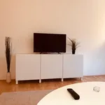 Rent 1 bedroom apartment in Graz