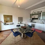 Rent 2 bedroom apartment of 110 m² in Torino