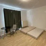 Rent 1 bedroom apartment of 32 m² in budapest