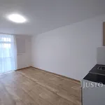 Pronájem 1+kk, 20 m², Topělec - Čížová