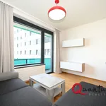 Rent 2 bedroom apartment of 50 m² in Prague