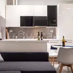 Rent 1 bedroom apartment of 55 m² in Milano