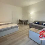 Rent 1 bedroom apartment of 65 m² in novara