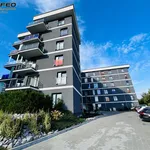 Rent 3 bedroom apartment of 60 m² in Bielsko-Biała