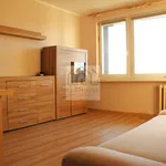 Rent 1 bedroom apartment of 26 m² in Bytom