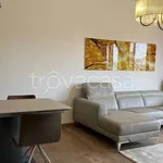 Rent 3 bedroom apartment of 100 m² in Carbonia