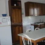 Rent 5 bedroom apartment of 140 m² in Siena