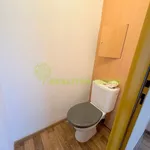 Rent 3 bedroom apartment in Vsetín