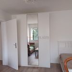 Rent 1 bedroom apartment of 27 m² in Metz