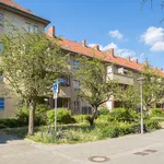 Miete 2 Schlafzimmer wohnung von 43 m² in Berlin