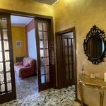 Rent 5 bedroom apartment of 110 m² in Bologna