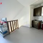 Rent 4 bedroom apartment of 149 m² in Olomouc