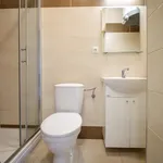 Rent 1 bedroom apartment in Brno