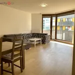 Rent 2 bedroom apartment of 83 m² in Trhový Štěpánov