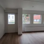 Vuokraa 1 makuuhuoneen talo, 39 m² paikassa Ruoholahti,