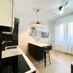 Rent 2 bedroom apartment of 40 m² in Milano