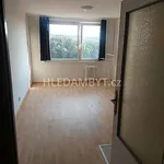 Rent 1 bedroom apartment of 29 m² in Capital City of Prague