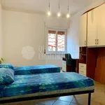 Rent 1 bedroom apartment of 70 m² in Roma