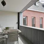 Rent 3 bedroom apartment in Leuven