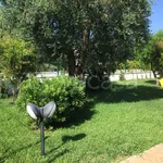 Rent 5 bedroom house of 152 m² in Carovigno