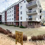 Rent 2 bedroom apartment of 49 m² in Toruń