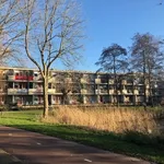 Huur 2 slaapkamer appartement van 40 m² in Groningen