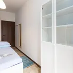 Rent 4 bedroom apartment in Milan