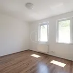 Rent 4 bedroom apartment of 105 m² in Budapest