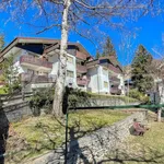 Rent 2 bedroom apartment of 45 m² in Bardonecchia