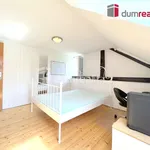 Rent 1 bedroom house of 676 m² in Brloh