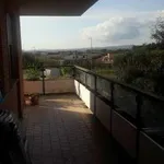 Rent 2 bedroom apartment of 50 m² in Rome