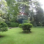 Rent 3 bedroom apartment of 120 m² in Varese