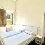 Rent 4 bedroom apartment of 90 m² in Firenze