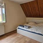 Rent 3 bedroom apartment of 62 m² in LAUTERBOURG