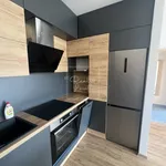 Rent 2 bedroom apartment of 55 m² in Capital City of Prague