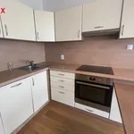 Rent 2 bedroom apartment of 41 m² in Chodov