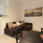 Rent 1 bedroom apartment of 55 m² in milan