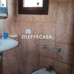 Rent 2 bedroom house of 50 m² in Marsala