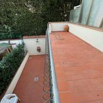 Rent 2 bedroom house in Florence