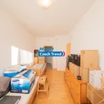 Rent 3 bedroom apartment in Olomouc