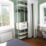 Rent 1 bedroom apartment of 42 m² in Dresden