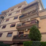 Rent 1 bedroom apartment of 30 m² in Roma