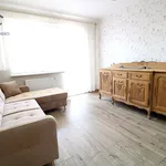 Rent 2 bedroom apartment of 48 m² in Toruń